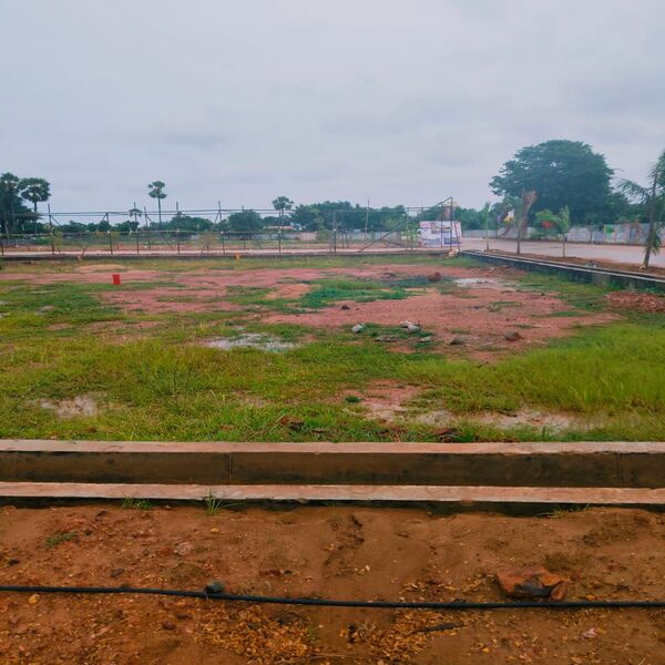 Listing Taxonomy Image