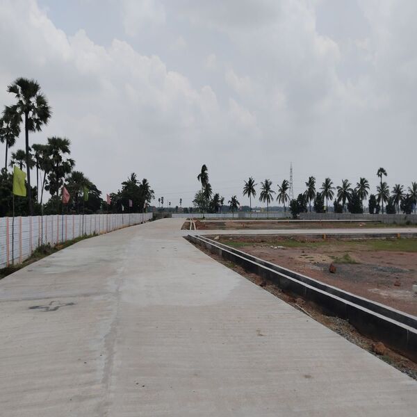 Listing Taxonomy Image