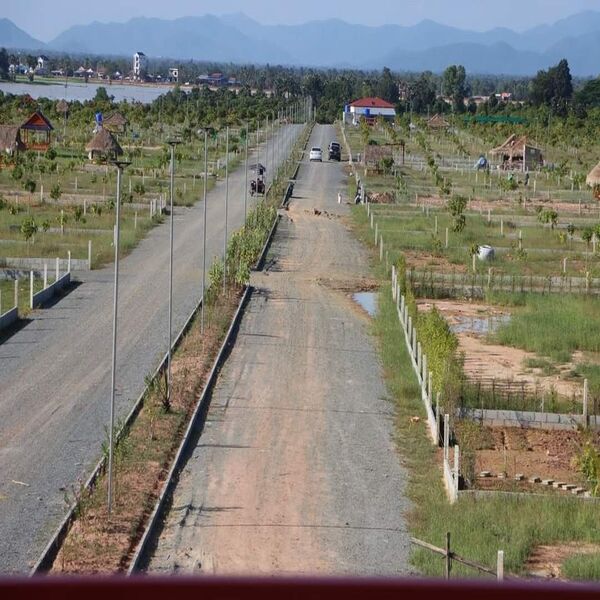 Listing Taxonomy Image