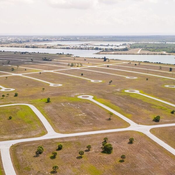 Listing Taxonomy Image