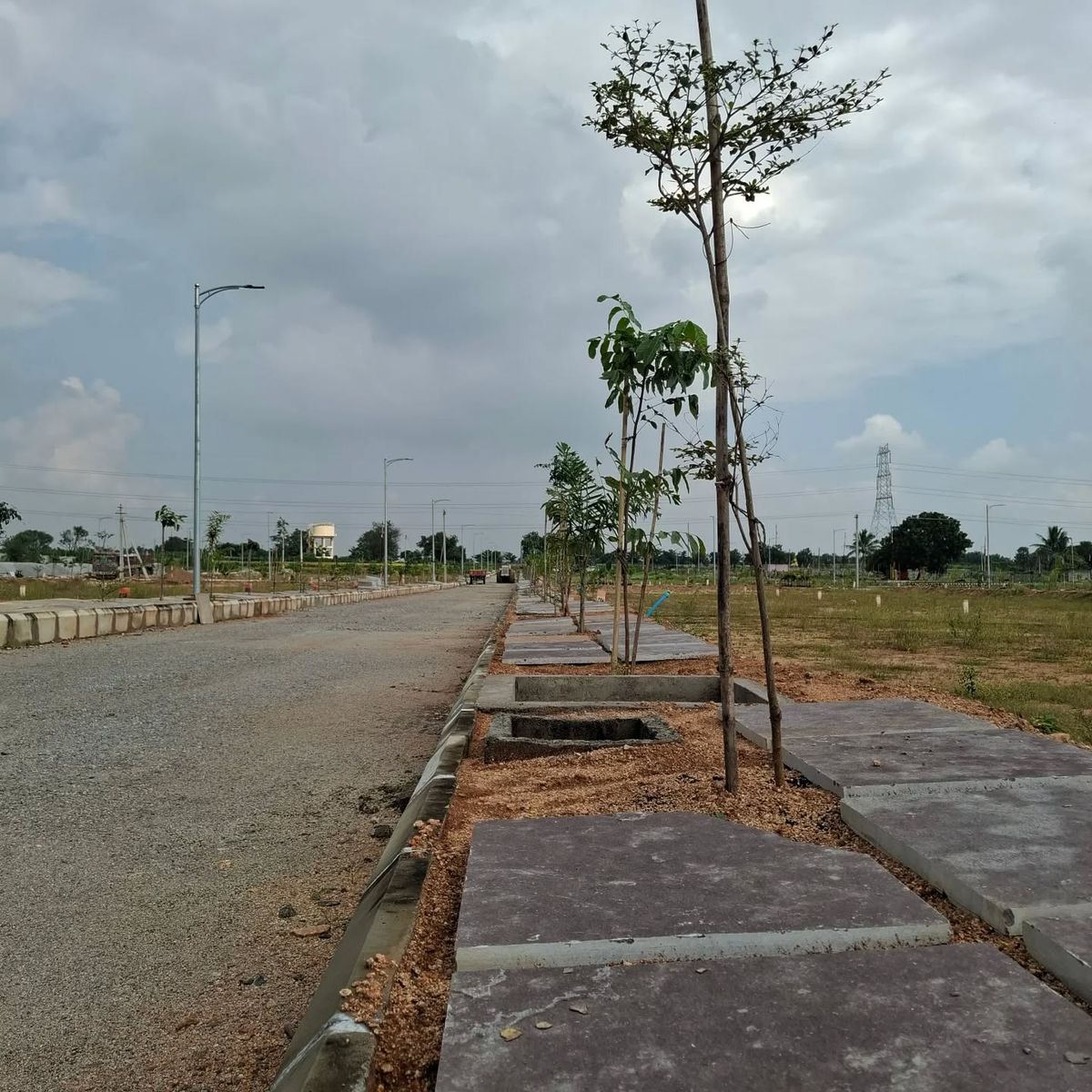 Listing Taxonomy Image