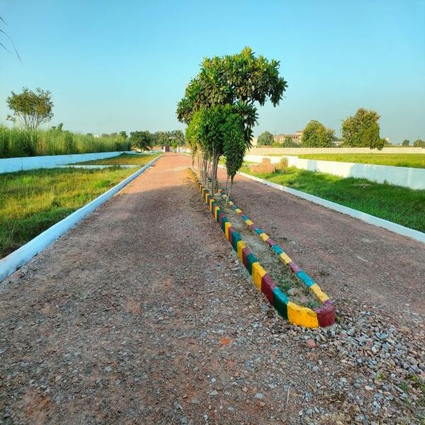 Listing Taxonomy Image