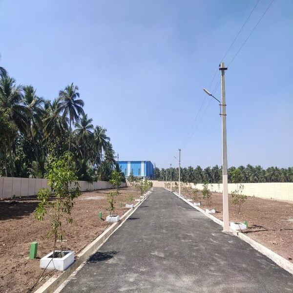 Listing Taxonomy Image