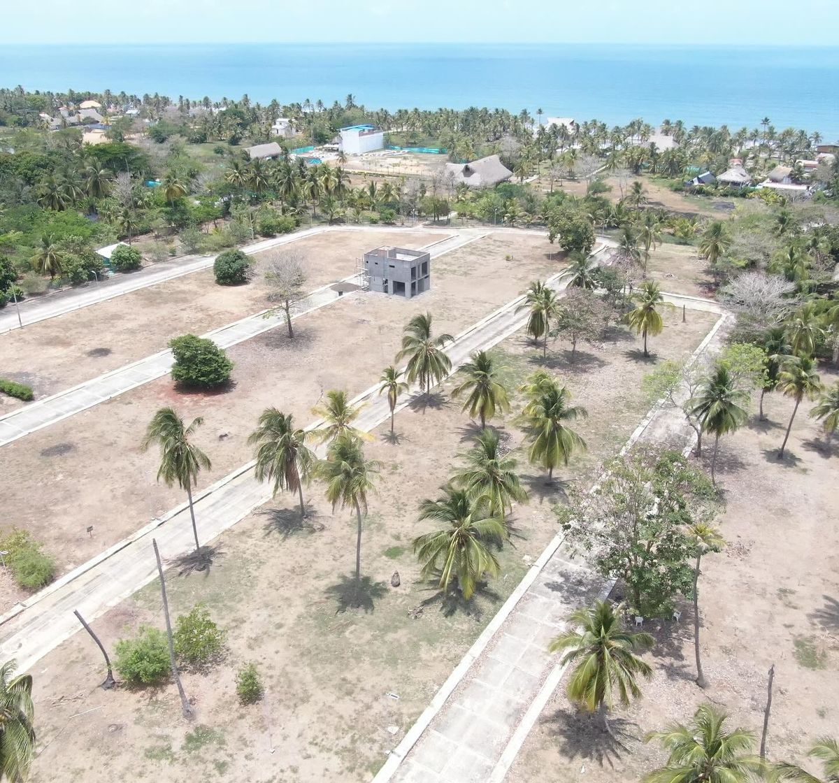 Listing Taxonomy Image